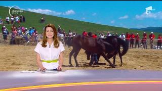 Spectacol ecvestru la Haidook Summer Fest