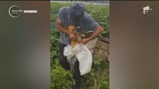 Un bărbat de 66 de ani s-a chinuit, ore în şir, să ajungă la o căţeluşă blocată într-o fântână adâncă. Şi-a riscat viaţa, ca să o salveze