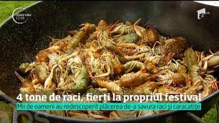 Observator de weekend