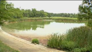 Reamenajarea lacurilor Floreasca şi Tei întârzie încă un an! Primăria a pierdut deja 20 de milioane de lei