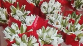 Deşi ilegale, afacerile cu nuferi prosperă. Comercianţii îi vând la orice colţ de stradă. Uneori, chiar sub nasul poliţiştilor