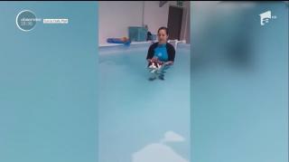 Înotul, remediu de slăbire pentru pisici