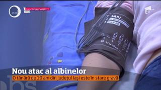 Încă o victimă a albinelor la Iaşi! O tânăra de 19 ani ÎN STARE GRAVĂ, după ce a fost atacată de insectele periculoase (VIDEO)