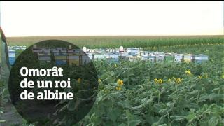 Observator TV, 18 iulie: Ştirile zilei într-un minut