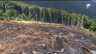 Pe Semenic, un incendiu s-a reaprins! Este pentru a patru oară în doar o săptămână