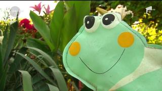 Cele mai frumoase gospodării, premiate în Argeş! Primarul unei comune a pus la cale un concurs