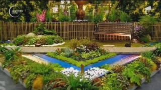 Pasiuni costisitoare. Pentru a avea o grădină "ca în filme", românii ajung să plătească şi 10.000 de euro