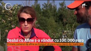 Dealul de Afine de la Toderița s-a vândut cu 100.000 de euro! O româncă şi un indian deţin acum plantaţia