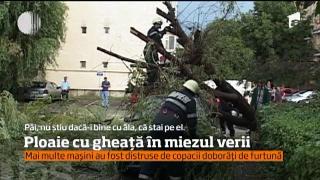 Observator 16 Weekend