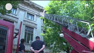 Cei care lucrează la Palatul Culturii din Ploieşti au trăit ZILE ÎNTREGI DE TEROARE, din cauza a zeci de mii de inamici cu ac. Situaţia s-a rezolvat cu greu