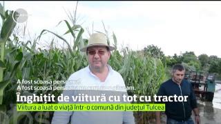 Un bărbat a fost luat de viitură cu tot cu tractor într-o comună din judeţul Tulcea