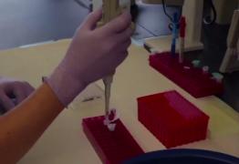 Bolile ereditare, eradicate în laborator