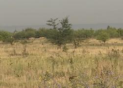 Oraşul Mehedinţi s-a transformat într-o mică Sahara. Pământul e crăpat de secetă