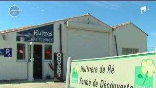 Idee revoluţionară pentru gurmanzi! Francezii au inaugurat automatul care vinde stridii