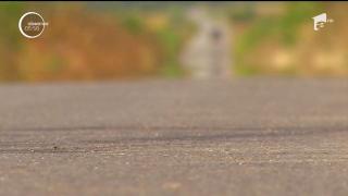 Efectele caniculei se simt deja în ţară. Numai în Bucureşti, ambulanţa a primit peste 500 de solicitări