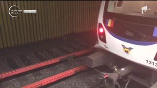 Mobilizare de amploare la metrou. Un câine rătăcit pe şine a pus pe jar autorităţile din Bucureşti, în miez de noapte