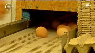 Milioane de ouă toxice au pus Europa pe jar, iar străinii arată cu degetul spre România