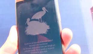 O aplicaţie GPS monitorizează cuiburile de barză din România