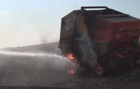 Un adolescent de 16 ani din judeţul Suceava a produs o PAGUBĂ semnificativă unui agricultor!