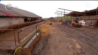 Doi soţi diagnosticaţi cu ANTRAX, la Craiova! Au luat boala chiar din gospodăria lor