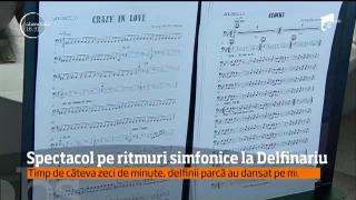 Observator 16 Weekend