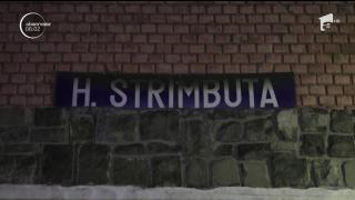 PLAN ROŞU de intervenţie în Hunedoara! Locomotiva unui tren cu azotat de amoniu a luat foc