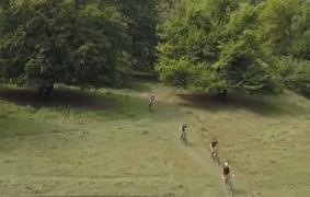 Turism pe bicicletă la Viscri