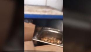 Cinci terase din Eforie Nord, închise de inspectorii OPC din cauza neregulilor grave