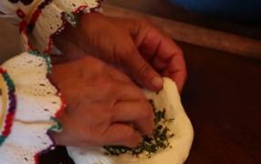 Cânepa, bună la mâncare și haine