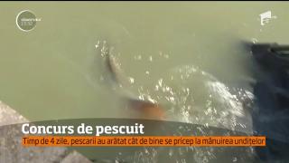 Concurs de pescuit pe malul lacului Corbu! Cei mai buni pescari şi-au arătat talentele la undiţă