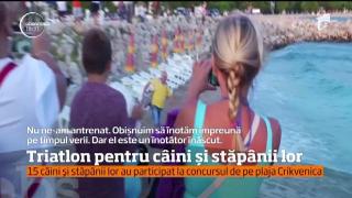 O plajă din Croaţia a devenit un adevărat paradis al patrupezilor