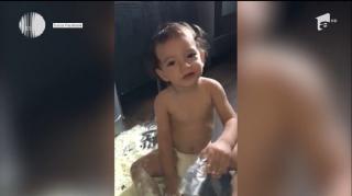 "Denis, pericol public" în varianta bucureşteană: un puşti adorabil a redecorat bucătăria părinţilor cu lapte praf