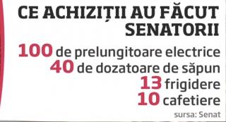 Achiziţii controversate la Senat! Frigidere, sute de pahare şi farfurii, mii de plicuri şi nu numai!