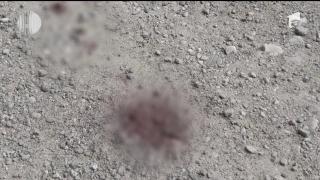 Împuşcat de un pădurar, pe un fond forestier din judeţul Suceava! În ce stare se află acum victima