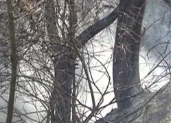 Casa unui primar din Gorj A ARS după ce un localnic A DAT FOC vegetaţiei uscată de pe câmp! 100 de voluntari au luptat cu incendiul