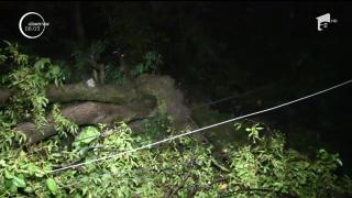 România, lovită de furtuni! Pădure de brazi pusă la pământ, iar o comună întreagă a rămas în beznă