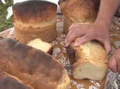 Festival cu gust în Maramureş! Zeci de bucătari s-au întrecut pentru titlul de 'GULAŞ-CHEF'