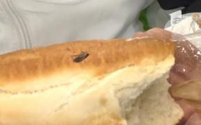 Cină cu gust amar pentru un bucureştean. A cumpărat de la hipermarket o pâine cu... GÂNDACI!