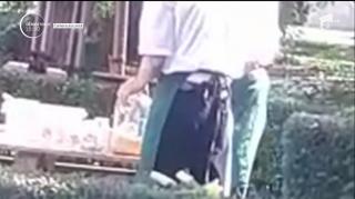 Muştarul diluat - reţeta cu care angajaţii unei terase din Târgovişte au şocat Internetul