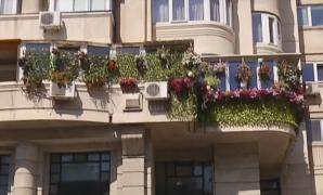 Bucureștenii cu cele mai frumoase balcoane au fost premiați