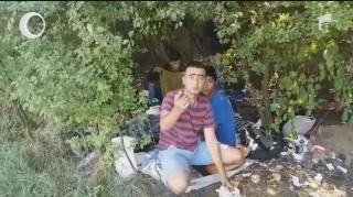 Noi grupuri de imigranți ilegali au intrat în România. Destinația e Timișoara, în drumul lor către vestul Europei