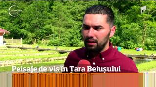 Comuna Roșia, în nordul Țării Beiușului, una dintre zonele superbe care merită să fie explorate