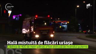 Nu doar la Orăştie a fost PANICĂ! O hală de prelucrare a lemnului din Argeş, MISTUITĂ de flăcările uriaşe