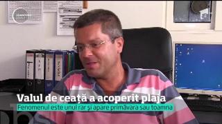 Observator de weekend