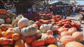 Bostanii aurii, vedete delicioase la festival. Buzoienii s-au întrecut în reţete cu dovleac