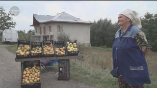 Merele românești, pe rafturile străinilor. Producătorii autohtoni îşi vând fructele pe marginea drumului