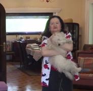 Fosta soţie a lui Petre Roman, JEFUITĂ în miezul zilei de trei bărbaţi, chiar în propria casă!