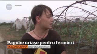 Dezastrul lăsat în urmă de furtuna de la Timișoara! Recoltele din 9 judeţe au fost afectate