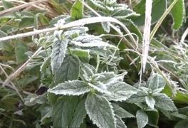 Iarna din septembrie. La Miercurea Ciuc temperatura a scăzut la -1°C