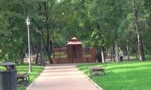 A dispărut şi ultima veveriţă care era ţinută captivă în parcul din Bistriţa
